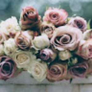 Meet your Posher, Devin